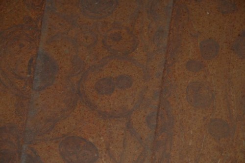 DSC_0911_zps8d9aa623.jpg