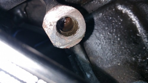 20180925_124749.jpg